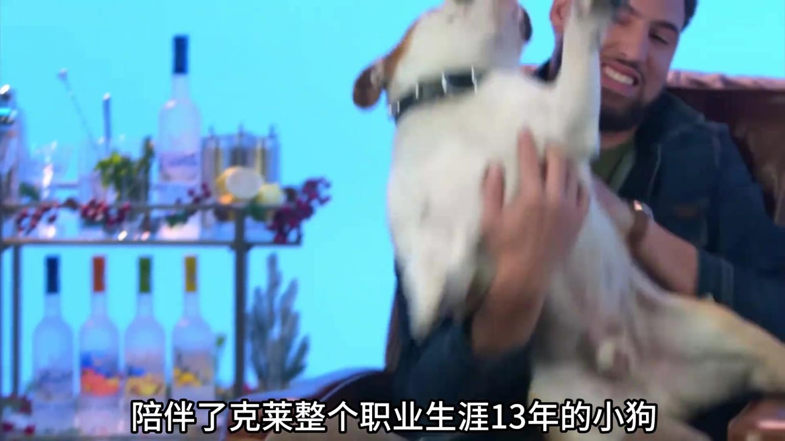 陪伴克萊13年的小狗去世了，不敢相信克萊得多么傷心